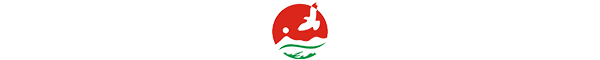 Google AMP logo
